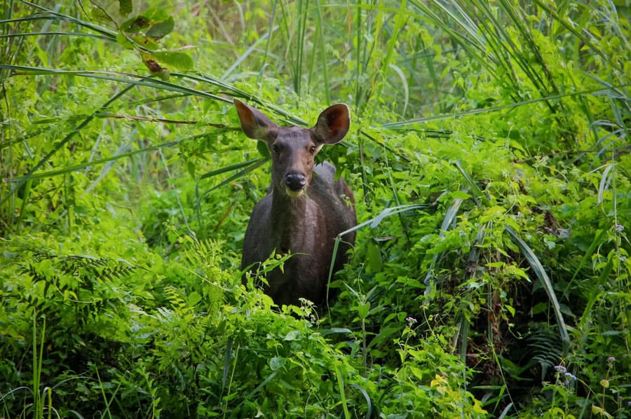 Nepal Photography Tour – 10 days