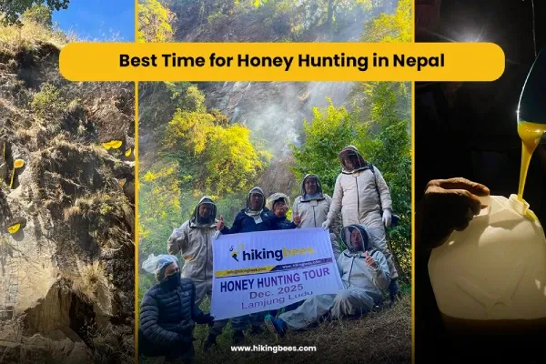 Best time for honey hunting in Nepal
