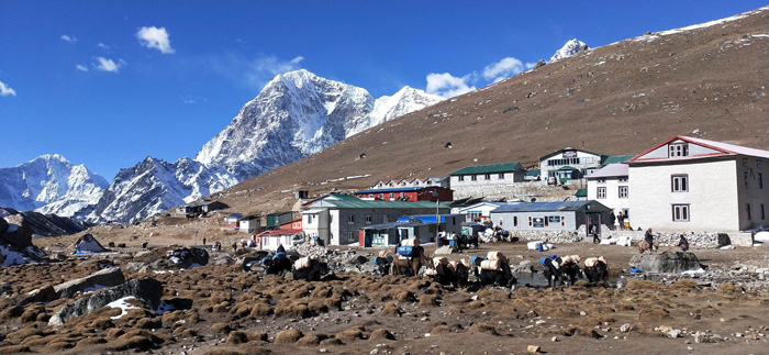 Lodges at Lobuche