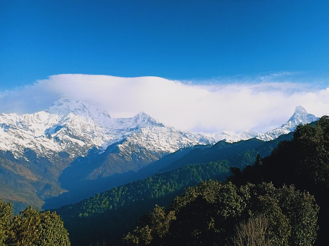Mardi Trek