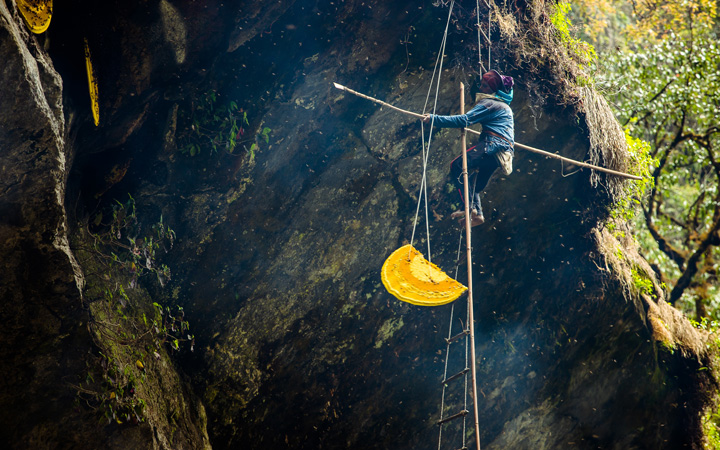 Villagers extracting honey from cliff
