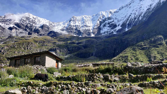 Rolwaling Valley Trekking