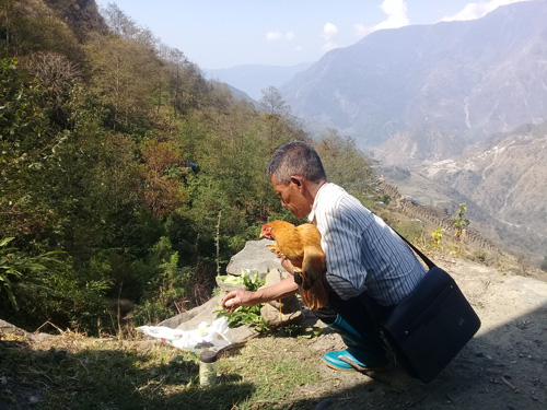 The Cultural Significance of Wild Honey Hunting in Nepal