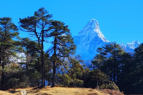 Everest View Trek