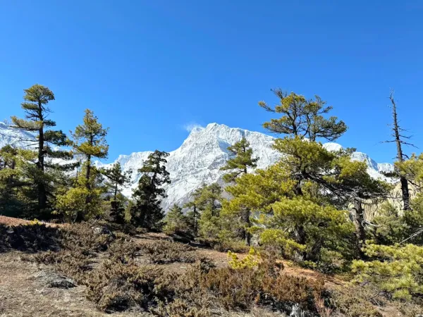 Act With Tilicho Lake Trek