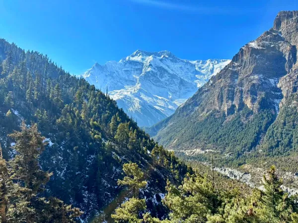Act With Tilicho Trek