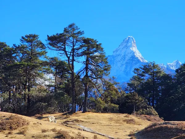 Everest View Trek