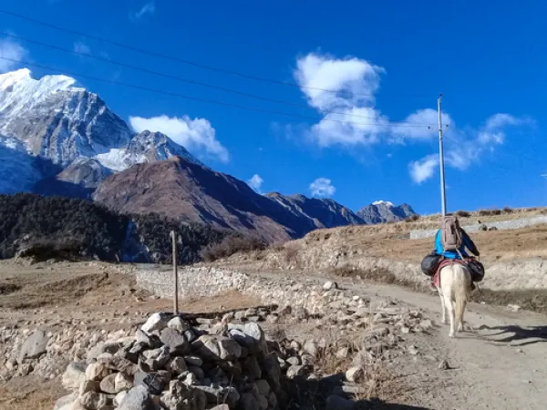 Horse Riding On The Way To Thorong La