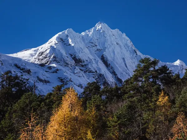 Manaslu Trek Himalchuli Hikingbees Xkc64cd