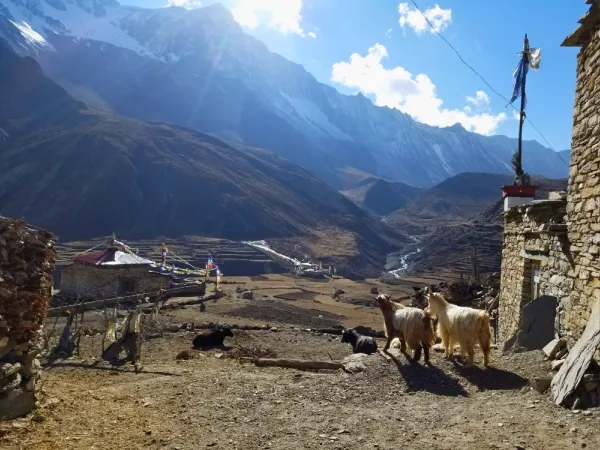 Nar Phu Trek Village