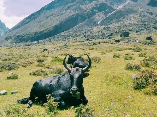 Rolwaling Valley Trekking