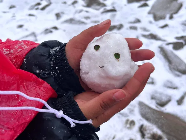 Snow Ball