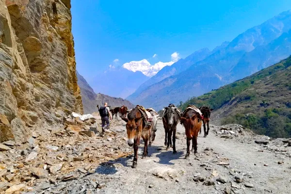 TSum Valley Manaslu Trek